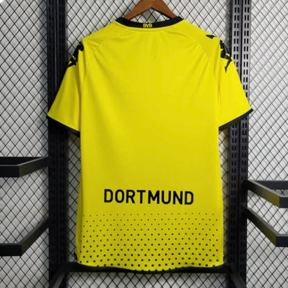 Borussia Dortmund 2011/2012 Hemma